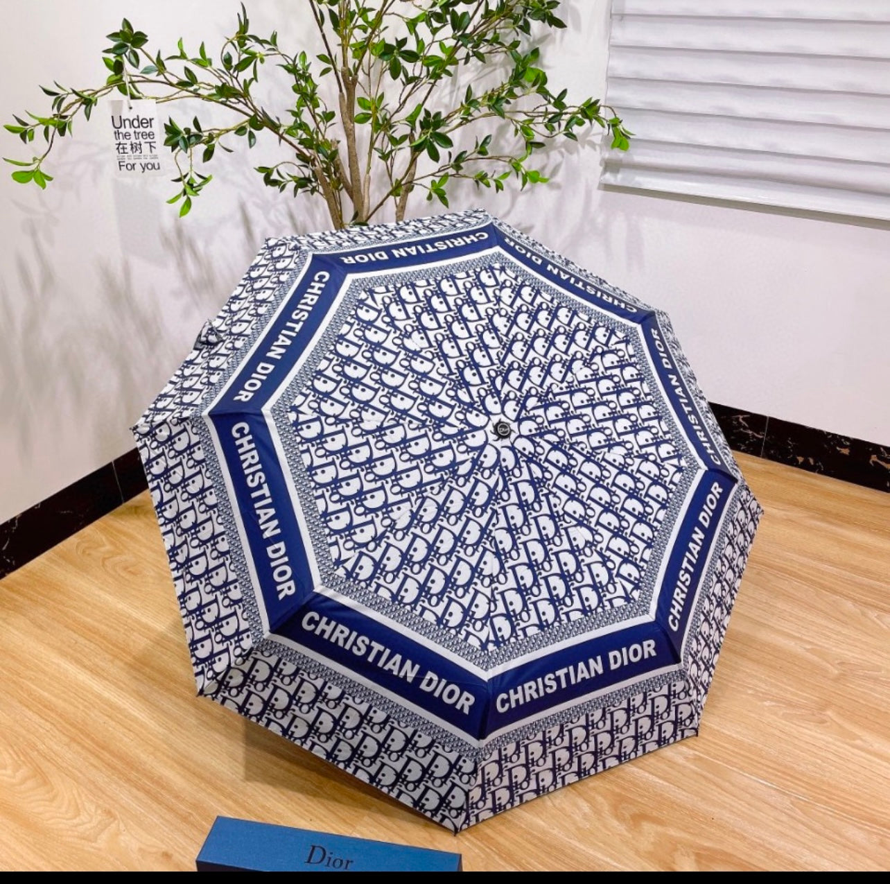 CD Umbrella